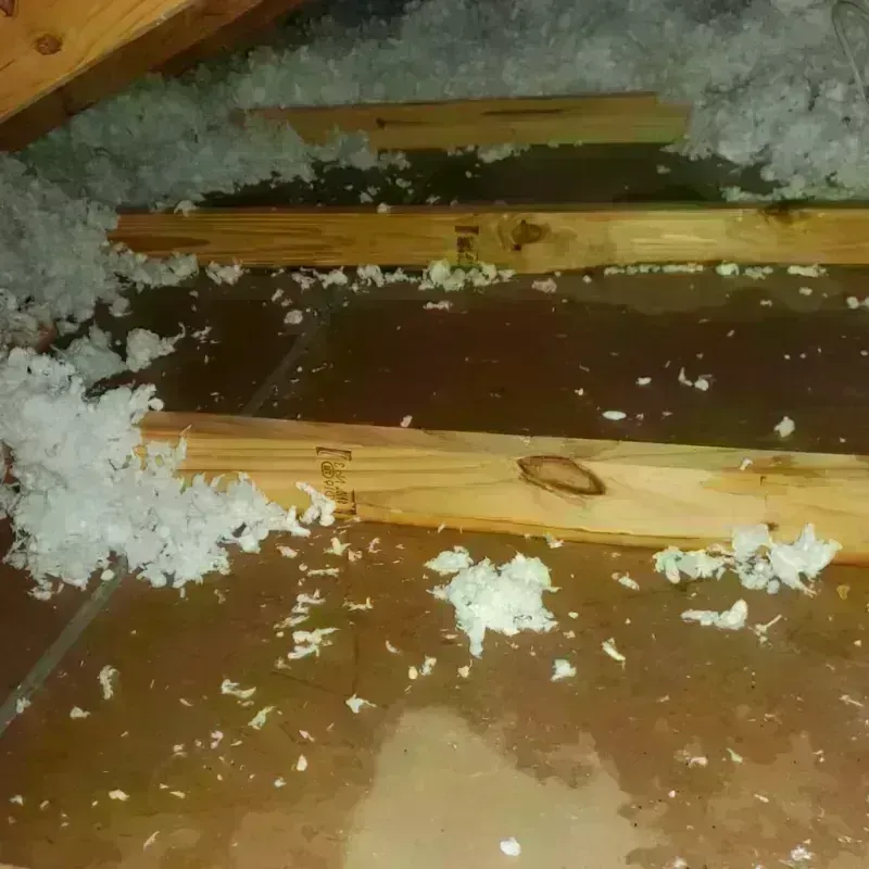 Attic Water Damage in South Charleston, WV